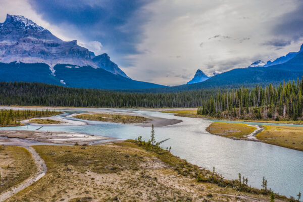 Perfect Shot from the Saskatchewan River Crossing in the Rocky Mountains
